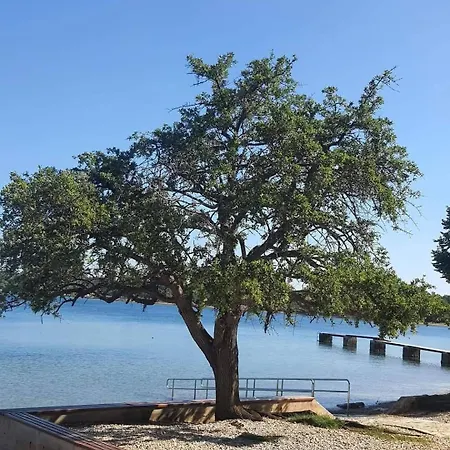 Ines Διαμέρισμα *